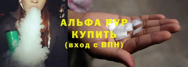 прущие грибы Беломорск