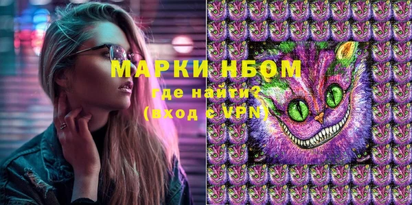 прущие грибы Беломорск