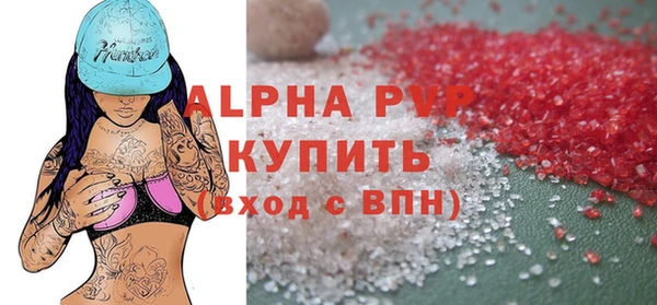 прущие грибы Беломорск