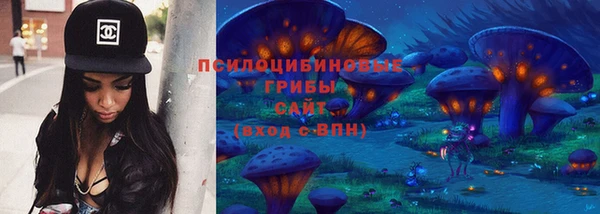 спиды Белокуриха